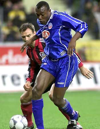 年来引进外 年来引进外